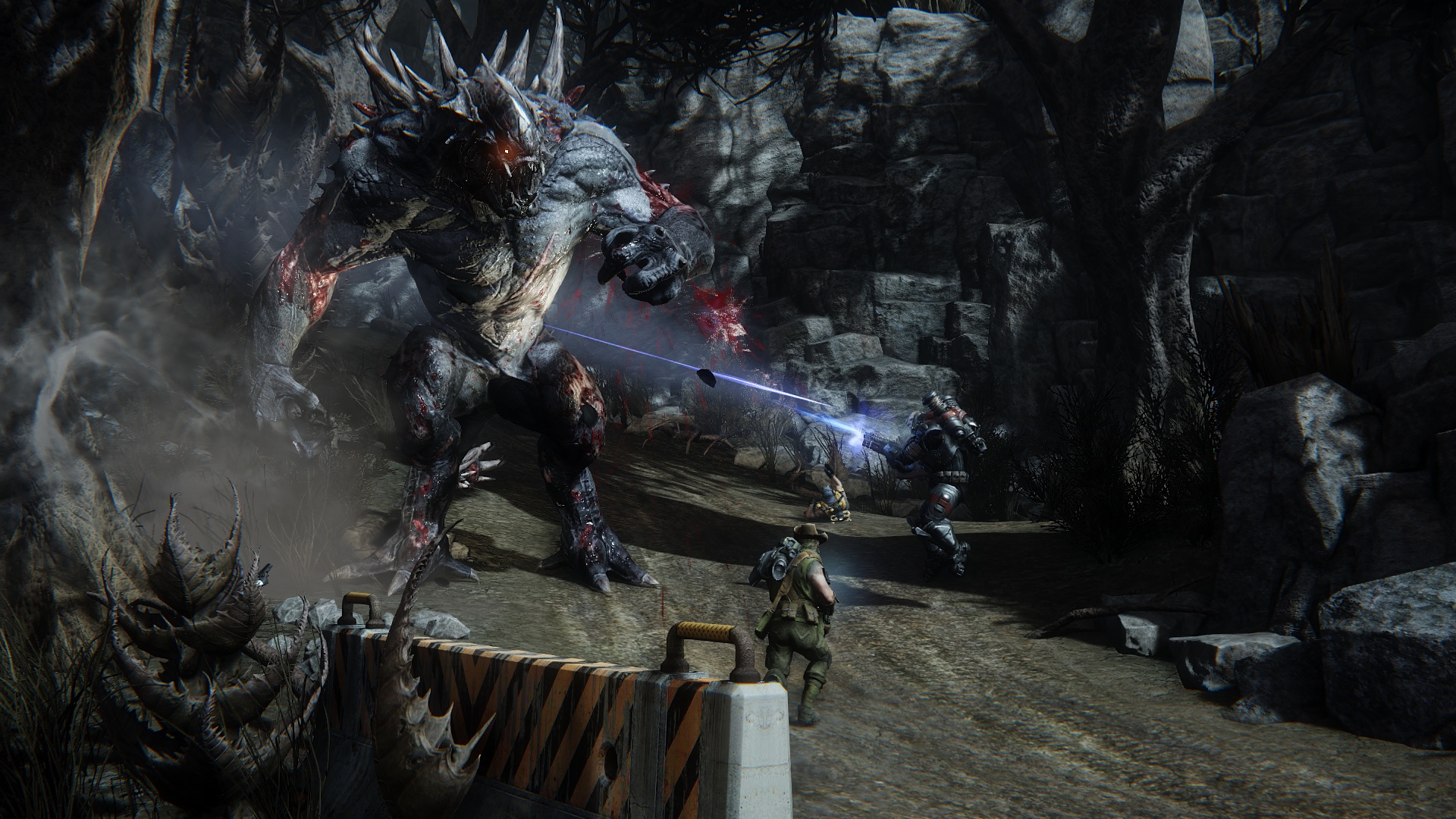 evolve2